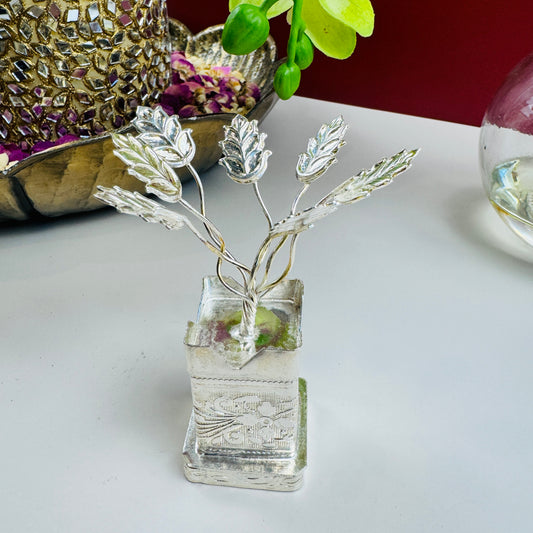 German Silver Tulsi Plant